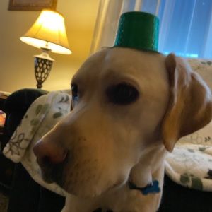 Meet your Posher, Austin